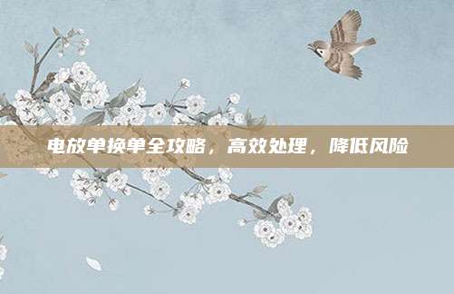电放单换单全攻略，高效处理，降低风险