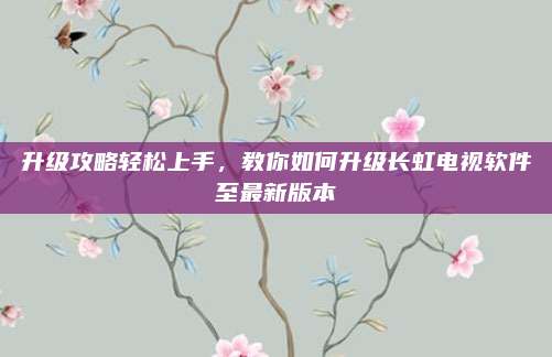 升级攻略轻松上手,教你如何升级长虹电视软件至最新版本