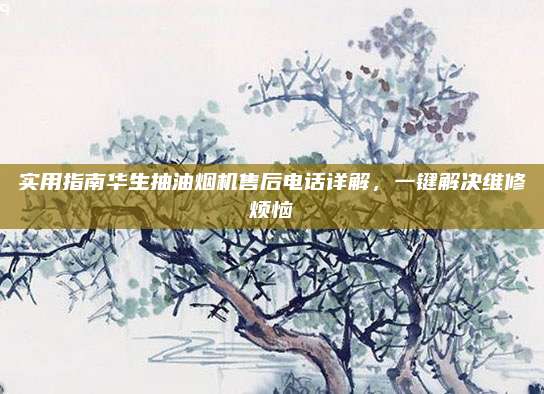 实用指南华生抽油烟机售后电话详解，一键解决维修烦恼