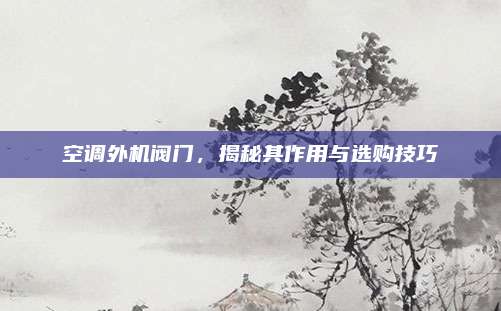 空调外机阀门,揭秘其作用与选购技巧