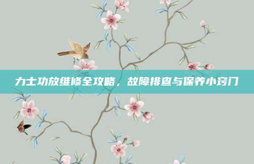 力士功放维修全攻略,故障排查与保养小窍门