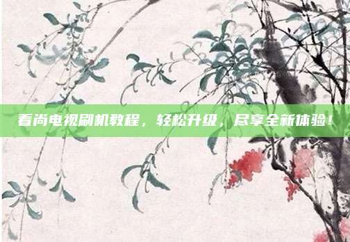 看尚电视刷机教程，轻松升级，尽享全新体验！