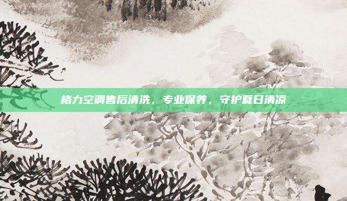 格力空调售后清洗，专业保养，守护夏日清凉