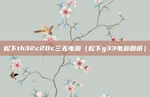 松下th32c20c三无电源（松下g33电源图纸）