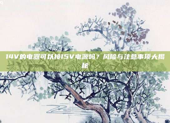 14V的电器可以接15V电源吗？风险与注意事项大揭秘