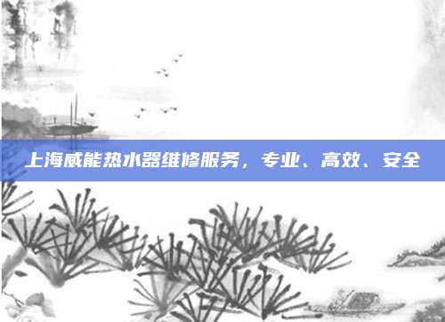 上海威能热水器维修服务，专业、高效、安全