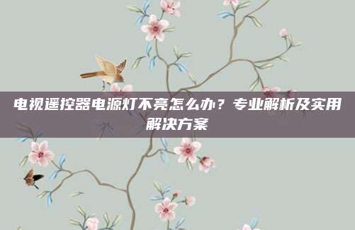 电视遥控器电源灯不亮怎么办？专业解析及实用解决方案