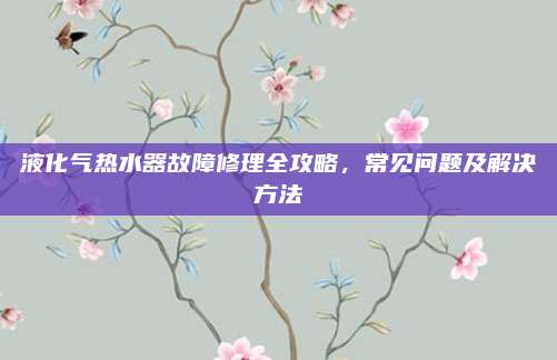 液化气热水器故障修理全攻略，常见问题及解决方法