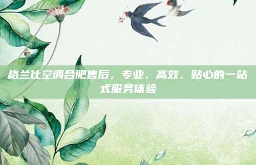 格兰仕空调合肥售后,专业、高效、贴心的一站式服务体验