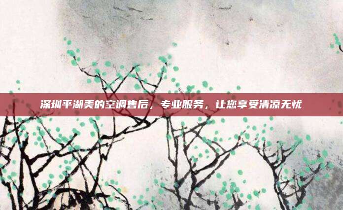 深圳平湖美的空调售后,专业服务,让您享受清凉无忧