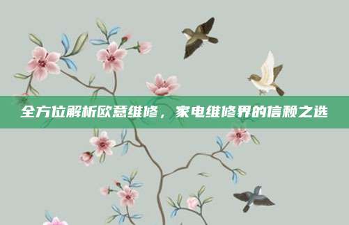 全方位解析欧意维修,家电维修界的信赖之选