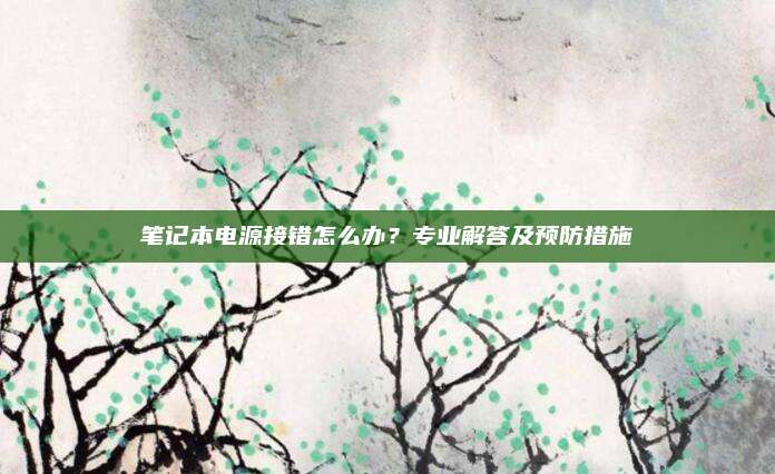 笔记本电源接错怎么办？专业解答及预防措施