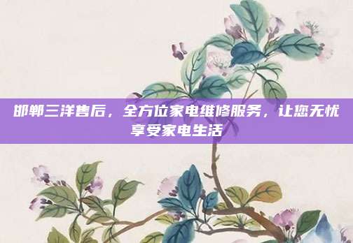 邯郸三洋售后，全方位家电维修服务，让您无忧享受家电生活