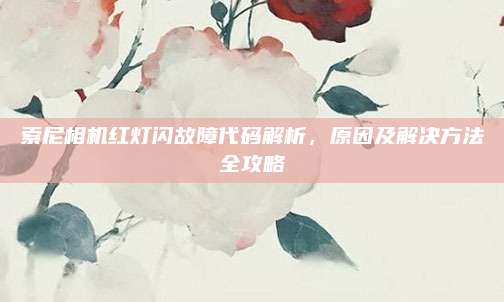 索尼相机红灯闪故障代码解析，原因及解决方法全攻略