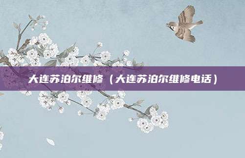 大连苏泊尔维修(大连苏泊尔维修电话)