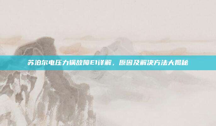 苏泊尔电压力锅故障E1详解，原因及解决方法大揭秘