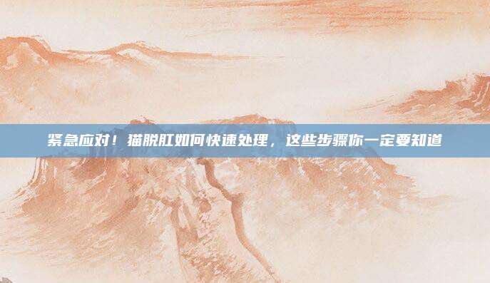 紧急应对！猫脱肛如何快速处理，这些步骤你一定要知道