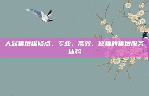 大显售后维修点，专业、高效、便捷的售后服务体验