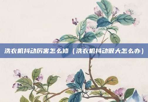 洗衣机抖动厉害怎么修（洗衣机抖动很大怎么办）