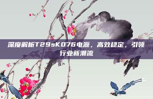 深度解析T29sK076电源,高效稳定,引领行业新潮流