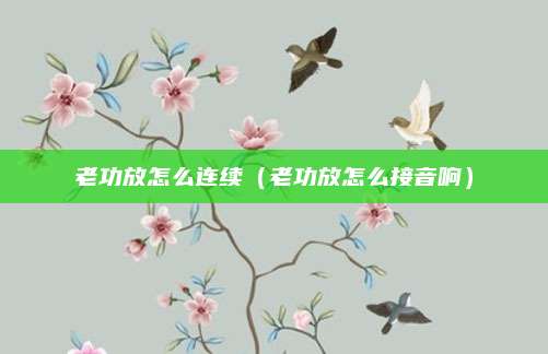 老功放怎么连续（老功放怎么接音响）