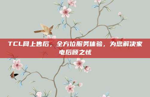 TCL网上售后，全方位服务体验，为您解决家电后顾之忧