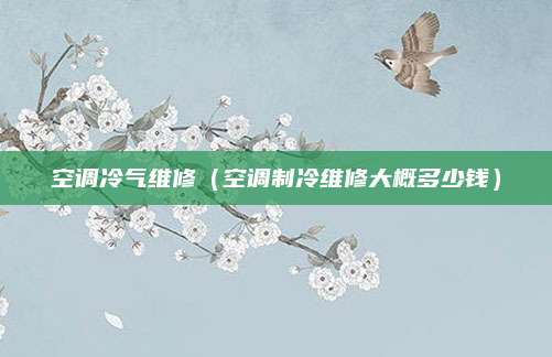 空调冷气维修（空调制冷维修大概多少钱）