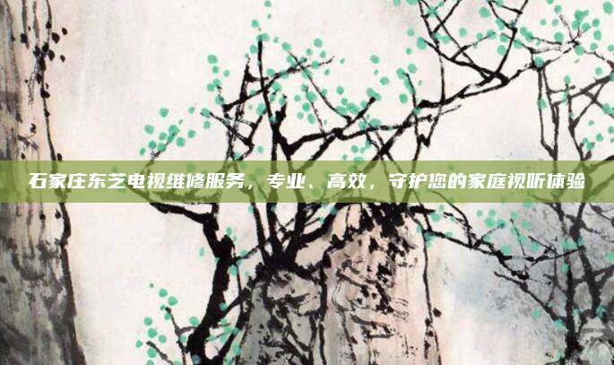 石家庄东芝电视维修服务,专业、高效,守护您的家庭视听体验