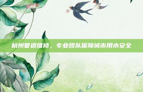 杭州管道维修，专业团队保障城市用水安全