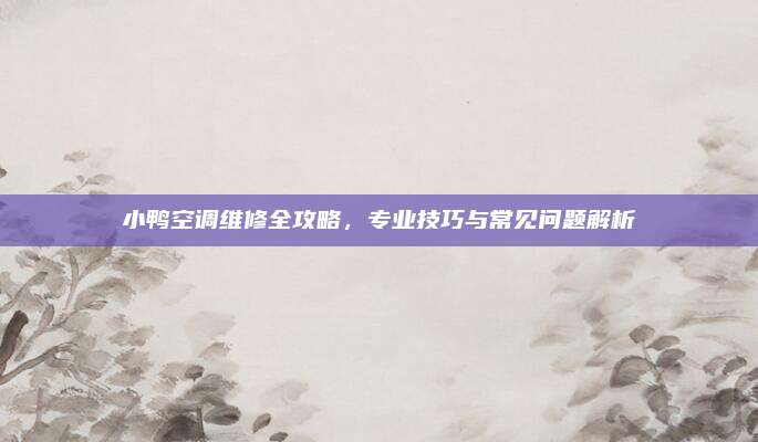 小鸭空调维修全攻略，专业技巧与常见问题解析