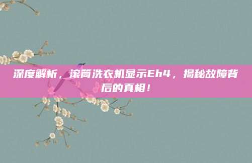 深度解析,滚筒洗衣机显示Eh4,揭秘故障背后的真相!