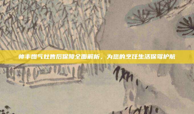 帅丰燃气灶售后保障全面解析,为您的烹饪生活保驾护航