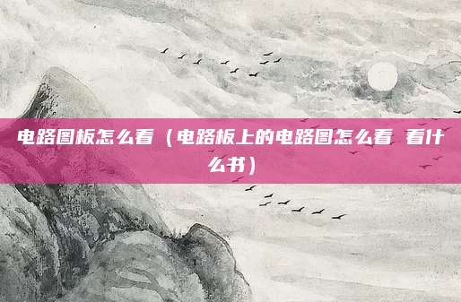 电路图板怎么看(电路板上的电路图怎么看 看什么书)