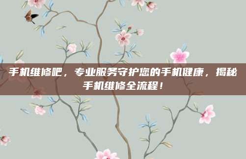 手机维修吧，专业服务守护您的手机健康，揭秘手机维修全流程！