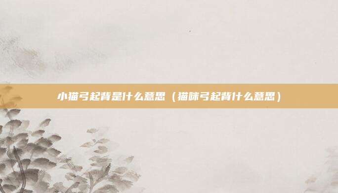 小猫弓起背是什么意思(猫咪弓起背什么意思)