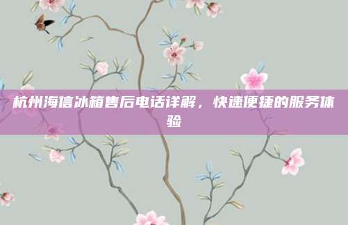杭州海信冰箱售后电话详解，快速便捷的服务体验