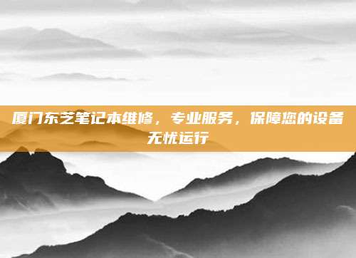 厦门东芝笔记本维修，专业服务，保障您的设备无忧运行
