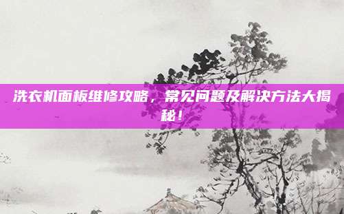 洗衣机面板维修攻略，常见问题及解决方法大揭秘！