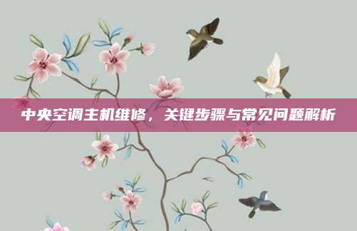 中央空调主机维修,关键步骤与常见问题解析