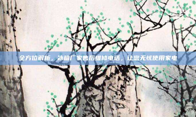 全方位解析,冰箱厂家售后维修电话,让您无忧使用家电