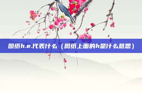 图纸h.e.代表什么（图纸上面的h是什么意思）