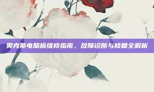 奥克斯电脑板维修指南,故障诊断与修复全解析