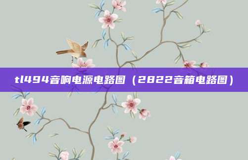 tl494音响电源电路图（2822音箱电路图）