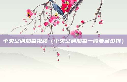 中央空调加氟视频（中央空调加氟一般要多少钱）