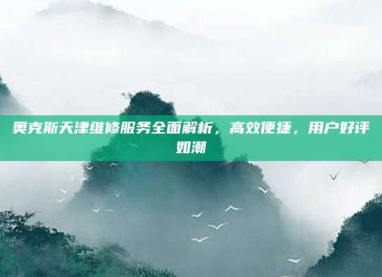 奥克斯天津维修服务全面解析,高效便捷,用户好评如潮