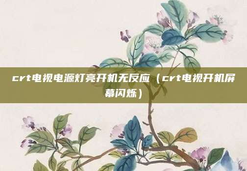 crt电视电源灯亮开机无反应(crt电视开机屏幕闪烁)