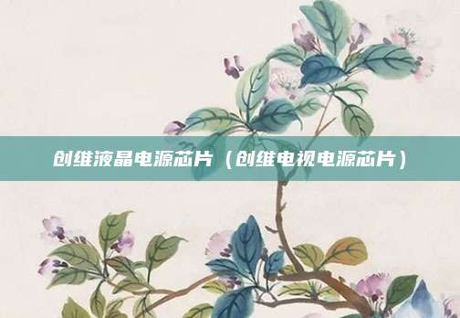 创维液晶电源芯片(创维电视电源芯片)