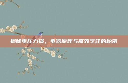 揭秘电压力锅，电器原理与高效烹饪的秘密