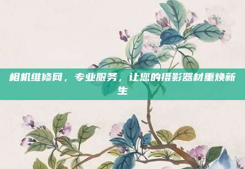 相机维修网，专业服务，让您的摄影器材重焕新生