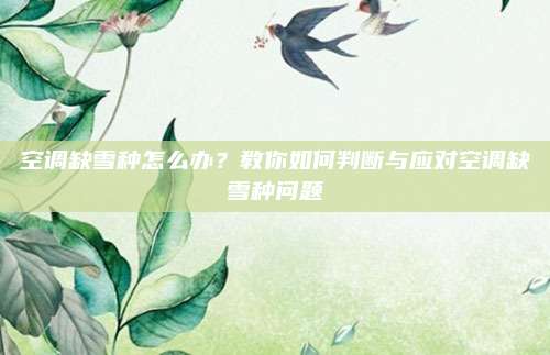 空调缺雪种怎么办?教你如何判断与应对空调缺雪种问题
